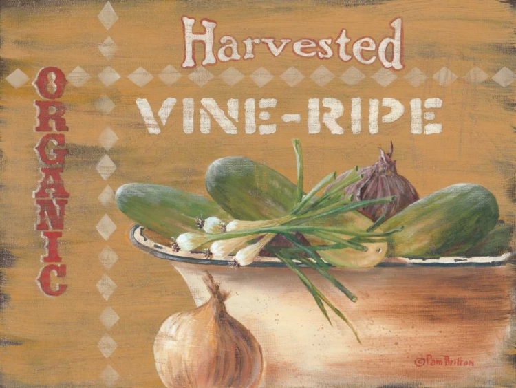 Picture of VINE RIPE