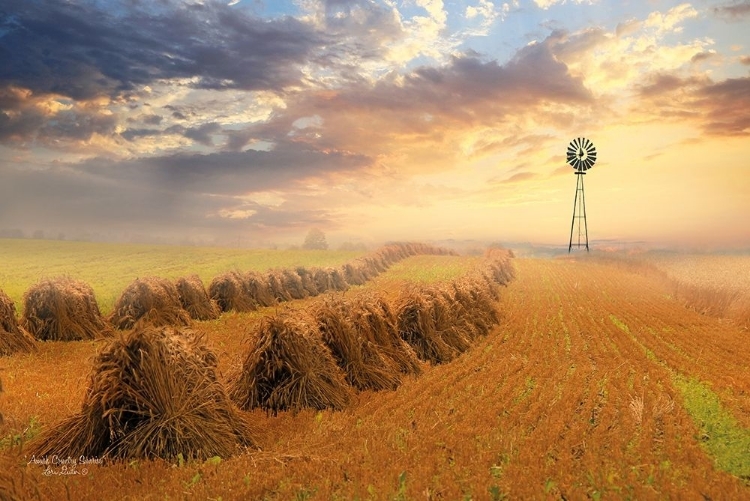 Picture of AMISH COUNTRY SUNRISE