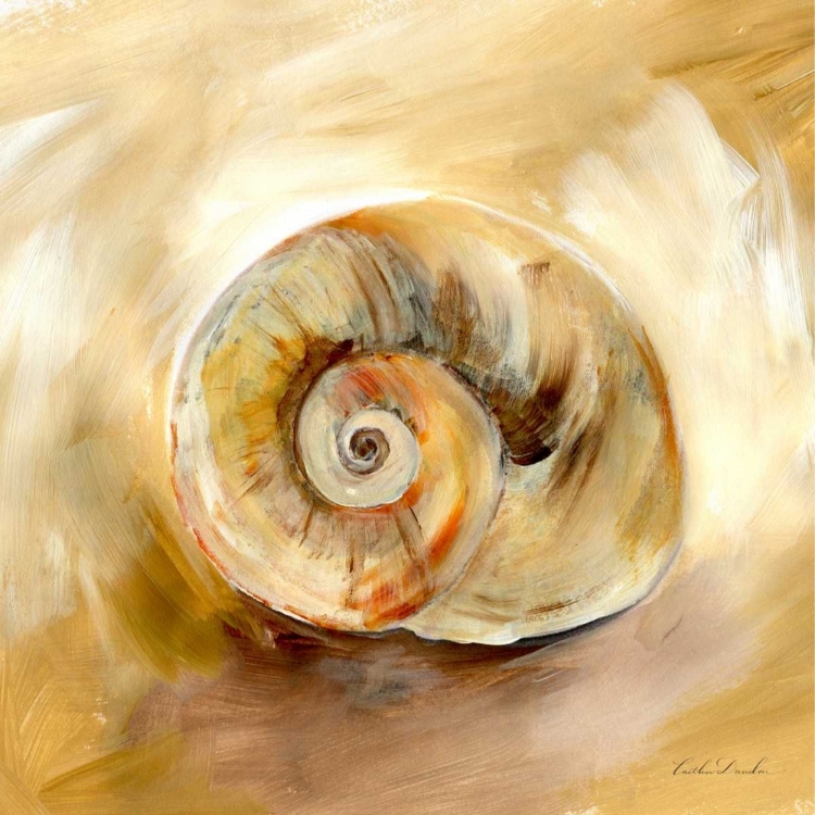 Picture of PAINTED SEASHELLS V 