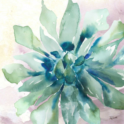 Picture of SUCCULENT WATERCOLOR III