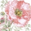 Picture of POPPY ROMANCE II