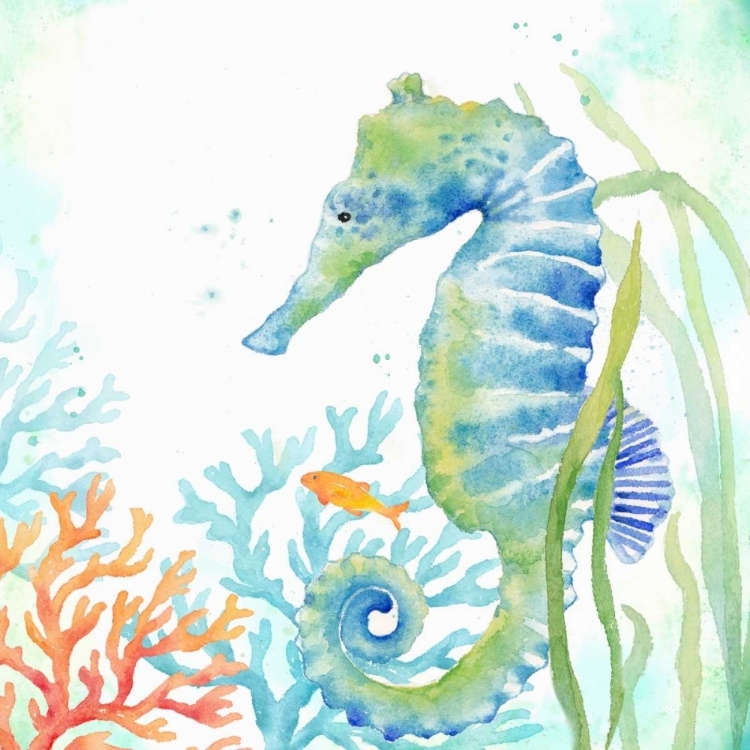 Picture of SEA LIFE SERENADE III