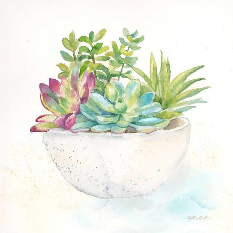 Picture of SWEET SUCCULENT POTS II