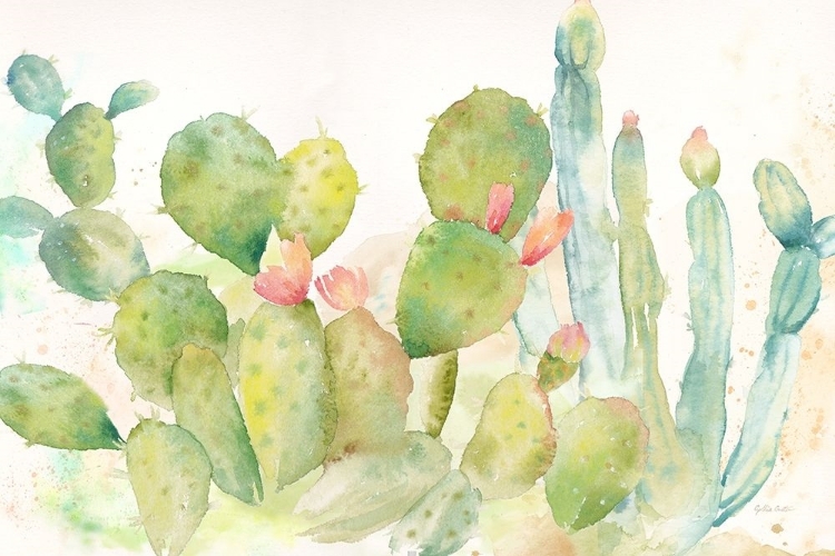 Picture of CACTUS GARDEN LANDSCAPE