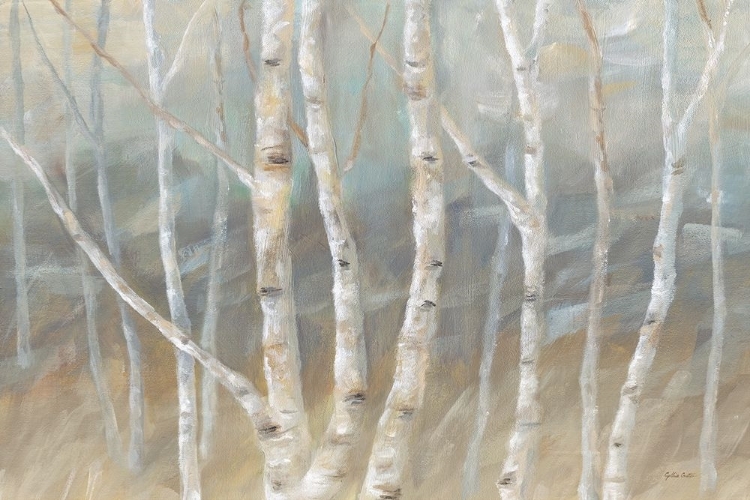 Picture of SILVER BIRCH LANDSCAPE