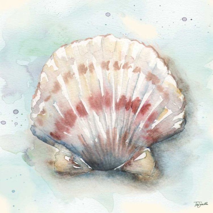 Picture of WATERCOLOR SHELLS VI