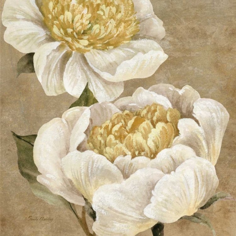 Picture of UP CLOSE CREAM PEONY