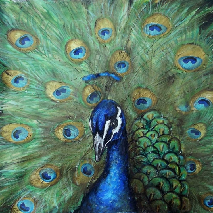 Picture of PAINTED PEACOCK