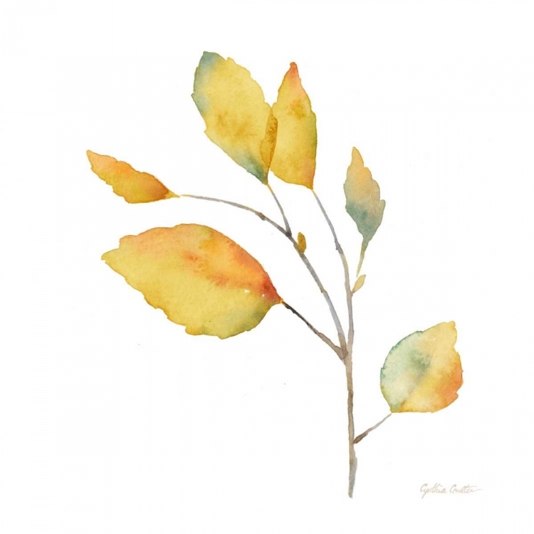 Picture of MODERN LEAF STUDY ON WHITE II