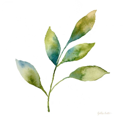 Picture of MODERN LEAF STUDY ON WHITE IV