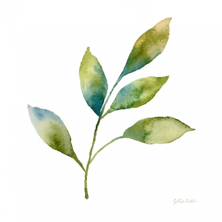 Picture of MODERN LEAF STUDY ON WHITE IV