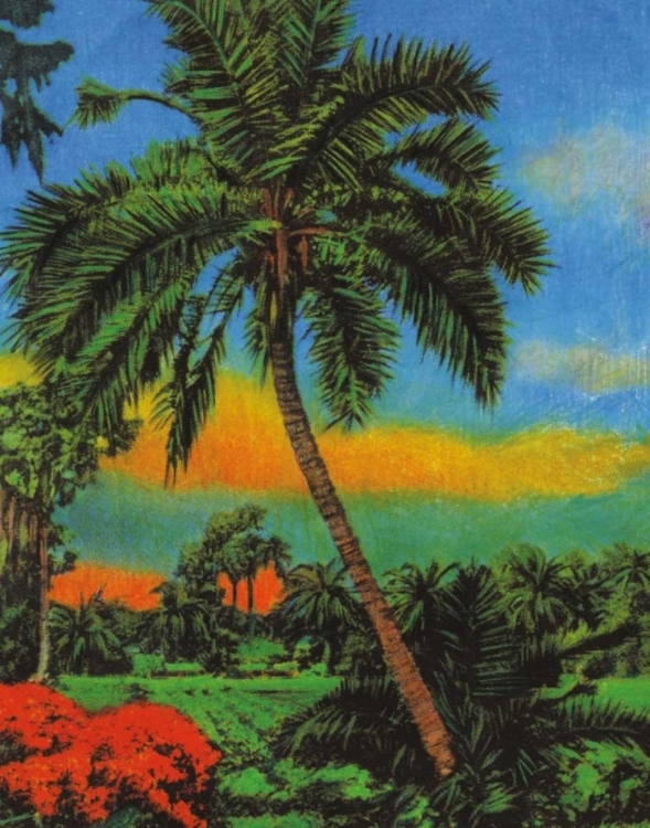 Picture of TROPICAL SUNSET