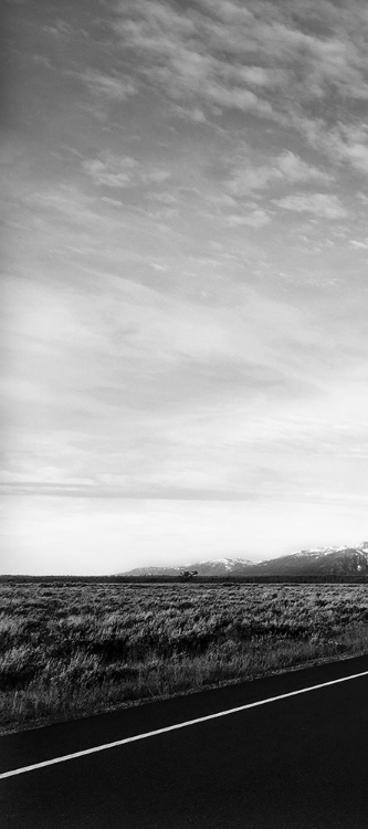 Picture of GRAND TETON EMPTY I