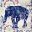 Picture of PAINTED ELEPHANT II