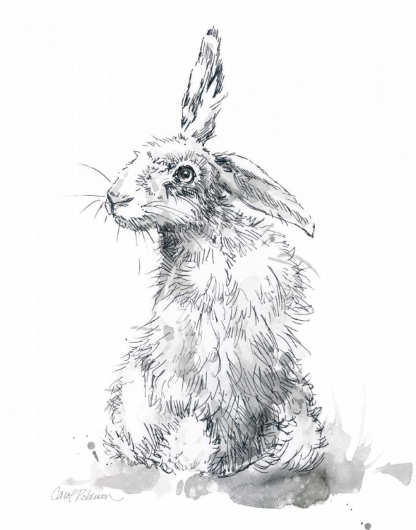 Picture of GARDEN HARE II