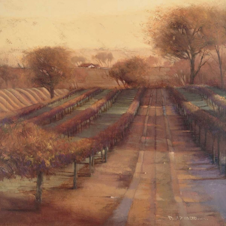 Picture of VINEYARD VISTA