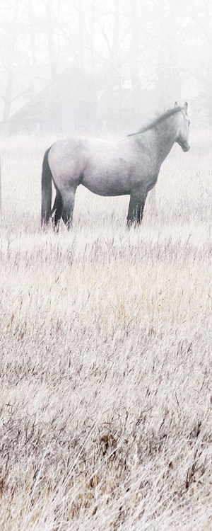 Picture of MISTY PASTURE I