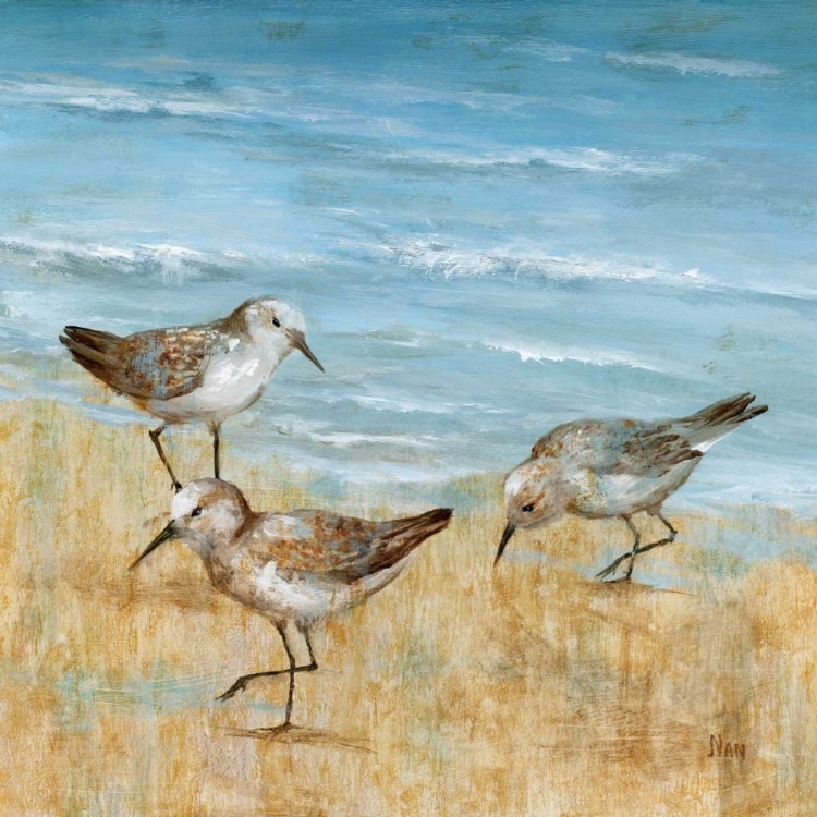 Picture of SANDPIPERS II