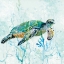 Picture of SEA TURTLE SWIM I