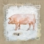 Picture of BURLAP PIG