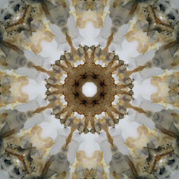 Picture of KALEIDOSCOPE HONEY GRAY