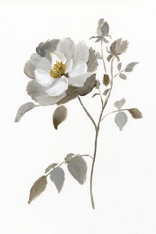 Picture of NEUTRAL ROSE II