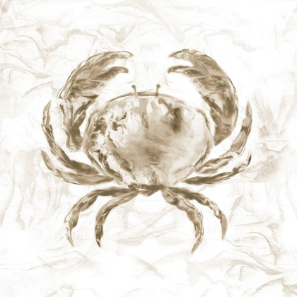 Picture of SOFT MARBLE COAST CRAB