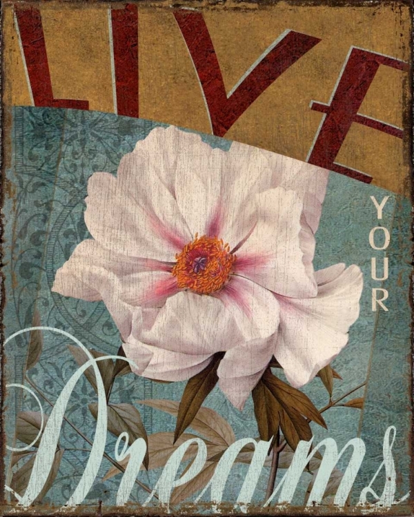 Picture of LIVE YOUR DREAMS