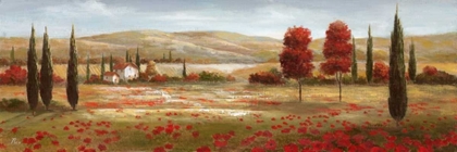 Picture of TUSCAN POPPIES II