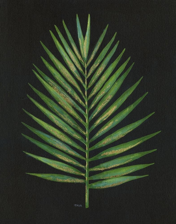 Picture of MIDNIGHT PALM