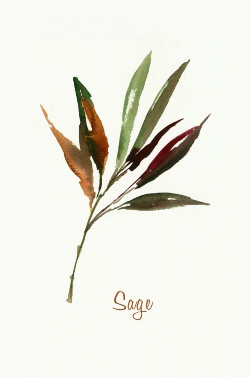 Picture of WILD SAGE - MINI