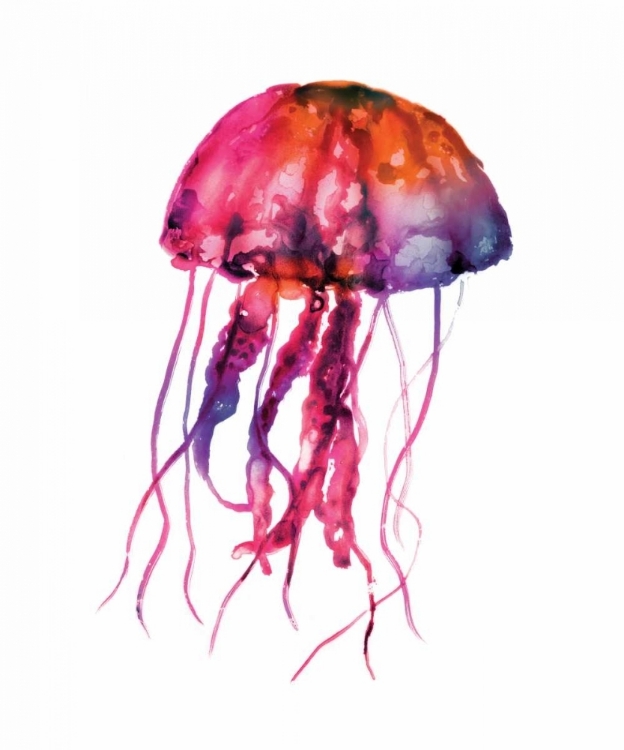 Picture of MULTICOLORED JELLYFISH