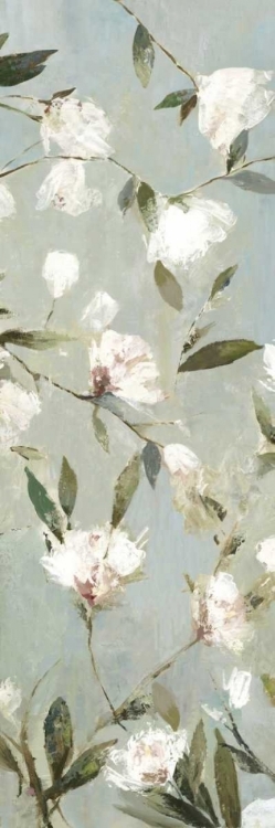 Picture of MAGNOLIAS III