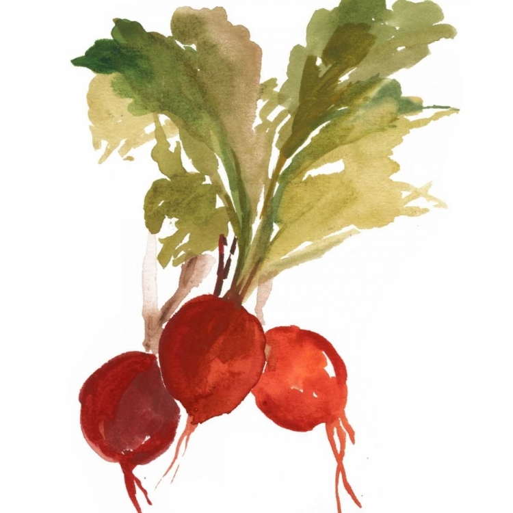 Picture of RADISH