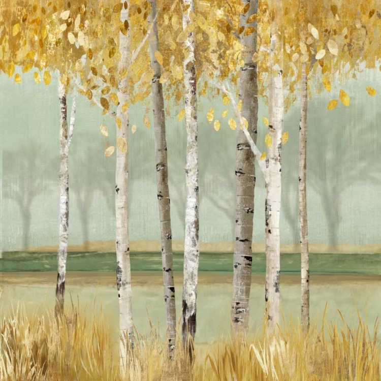 Picture of GOLDEN BIRCH