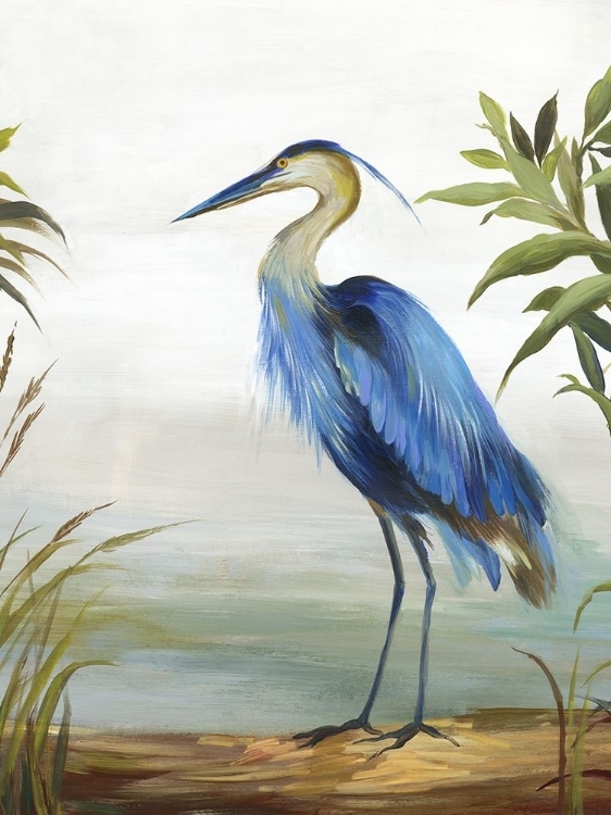 Picture of BLUE HERON