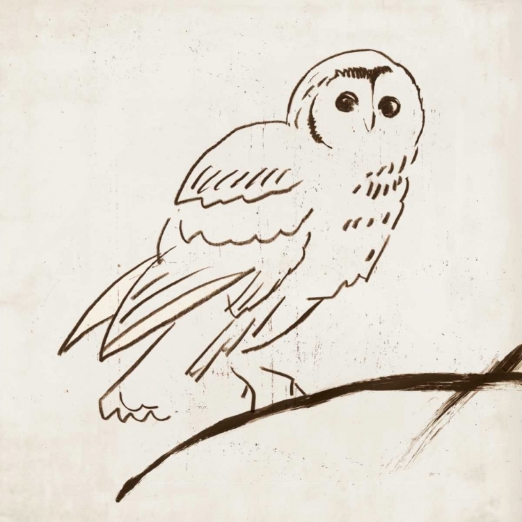 Picture of OWL II