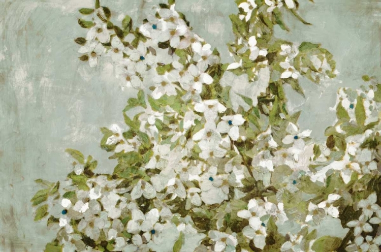 Picture of MINT BLOSSOM