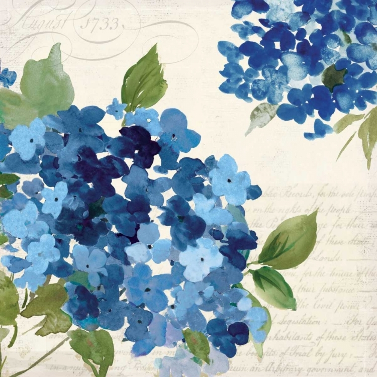 Picture of HAMPTON HYDRANGEA I