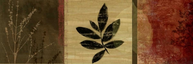 Picture of LEAF IMPRESSIONS II