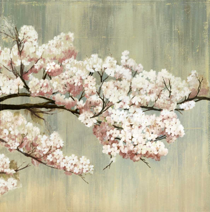 Picture of BLOSSOMS