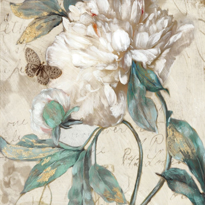 Picture of MORNING PEONY II