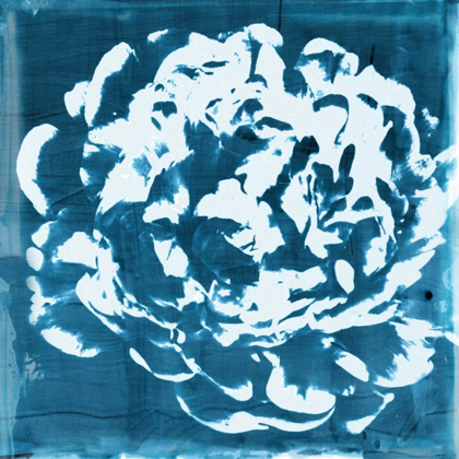 Picture of INDIGO FLORET III