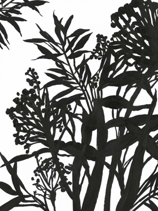 Picture of MONOCHROME FOLIAGE II