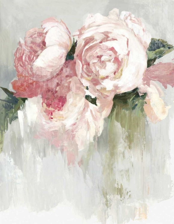 Picture of PEONIES