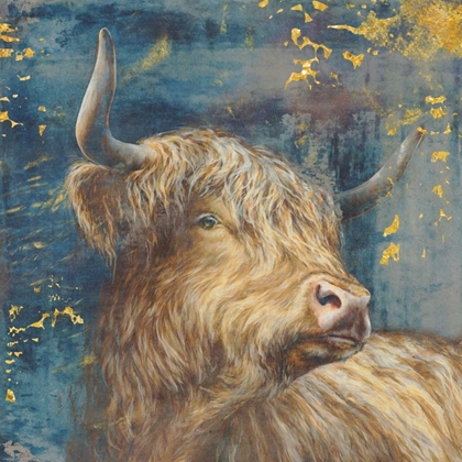 Picture of HIGHLAND BULL