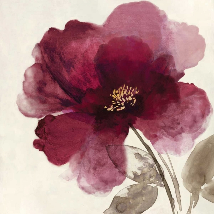 Picture of CRIMSON PEONY II