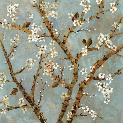 Picture of GREY BLOSSOMS