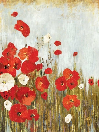 Picture of POPPIES IN THE WIND