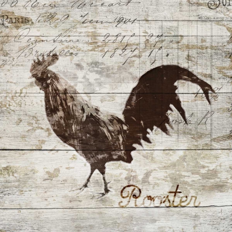 Picture of ROOSTER